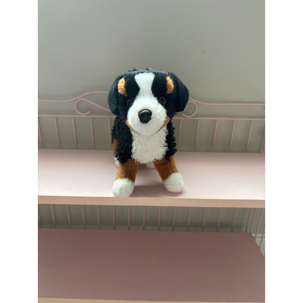 Douglas miranda bernese mountain dog